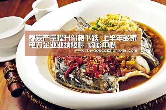 煤炭产量提升价格下跌 上半年多家电力企业业绩爆棚_购彩中心(图1) 购彩中心