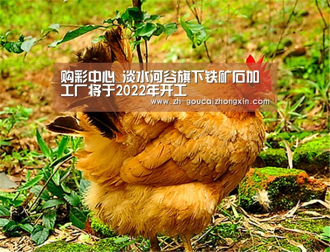 购彩中心_淡水河谷旗下铁矿石加工厂将于2022年开工(图1) 购彩中心