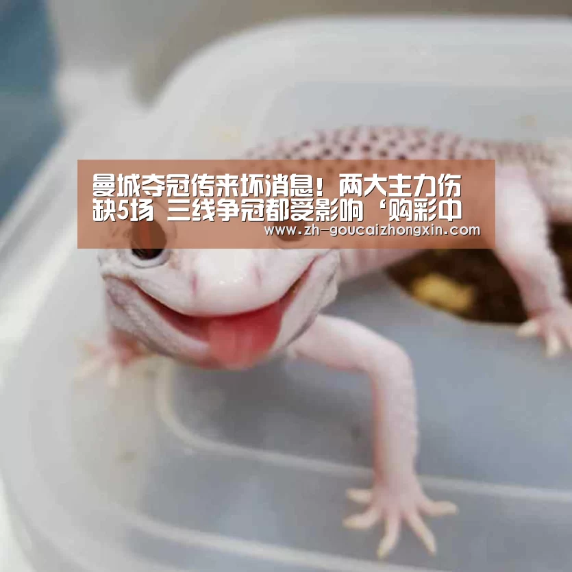 曼城夺冠传来坏消息!两大主力伤缺5场 三线争冠都受影响‘购彩中心’(图2) 购彩中心