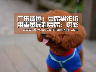 广东清远:豆腐黑作坊用重金属制豆腐:购彩中心(图1) 购彩中心