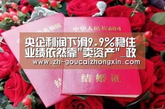 央企利润下滑9.9%稳住业绩依然靠卖资产_政策法规_新闻_矿道网|购彩中心(图2) 购彩中心