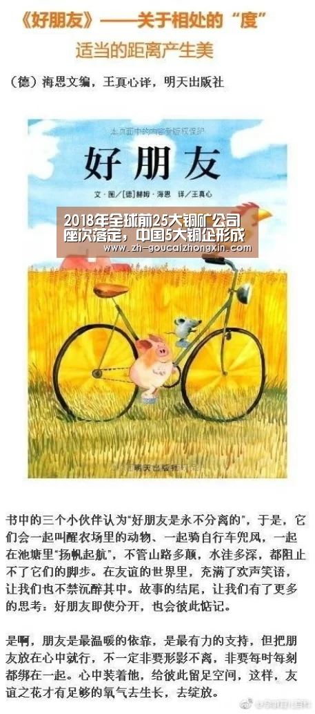 2018年全球前25大铜矿公司座次落定,中国5大铜企形成一超四强格局-购彩中心(图2) 购彩中心
