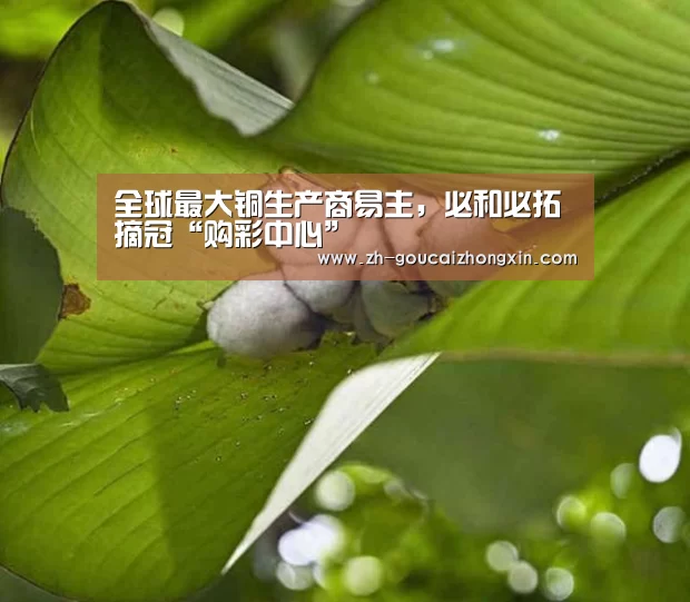 全球最大铜生产商易主,必和必拓摘冠“购彩中心”(图1) 购彩中心