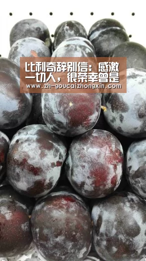 比利奇辞别信:感激一切人,很荣幸曾是西汉姆联教练_购彩中心(图3) 购彩中心