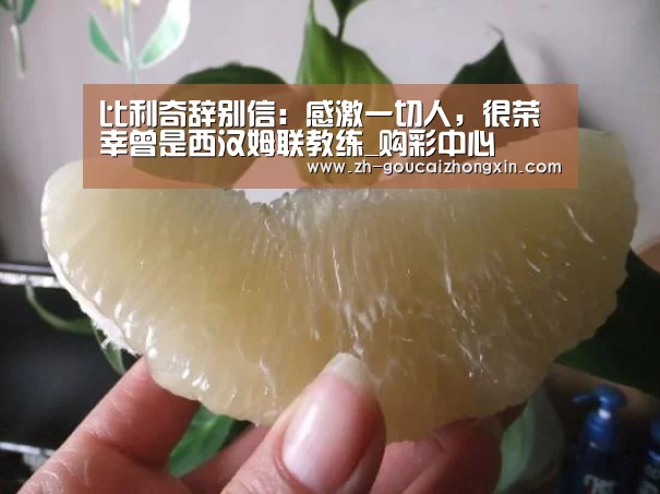 比利奇辞别信:感激一切人,很荣幸曾是西汉姆联教练_购彩中心(图4) 购彩中心